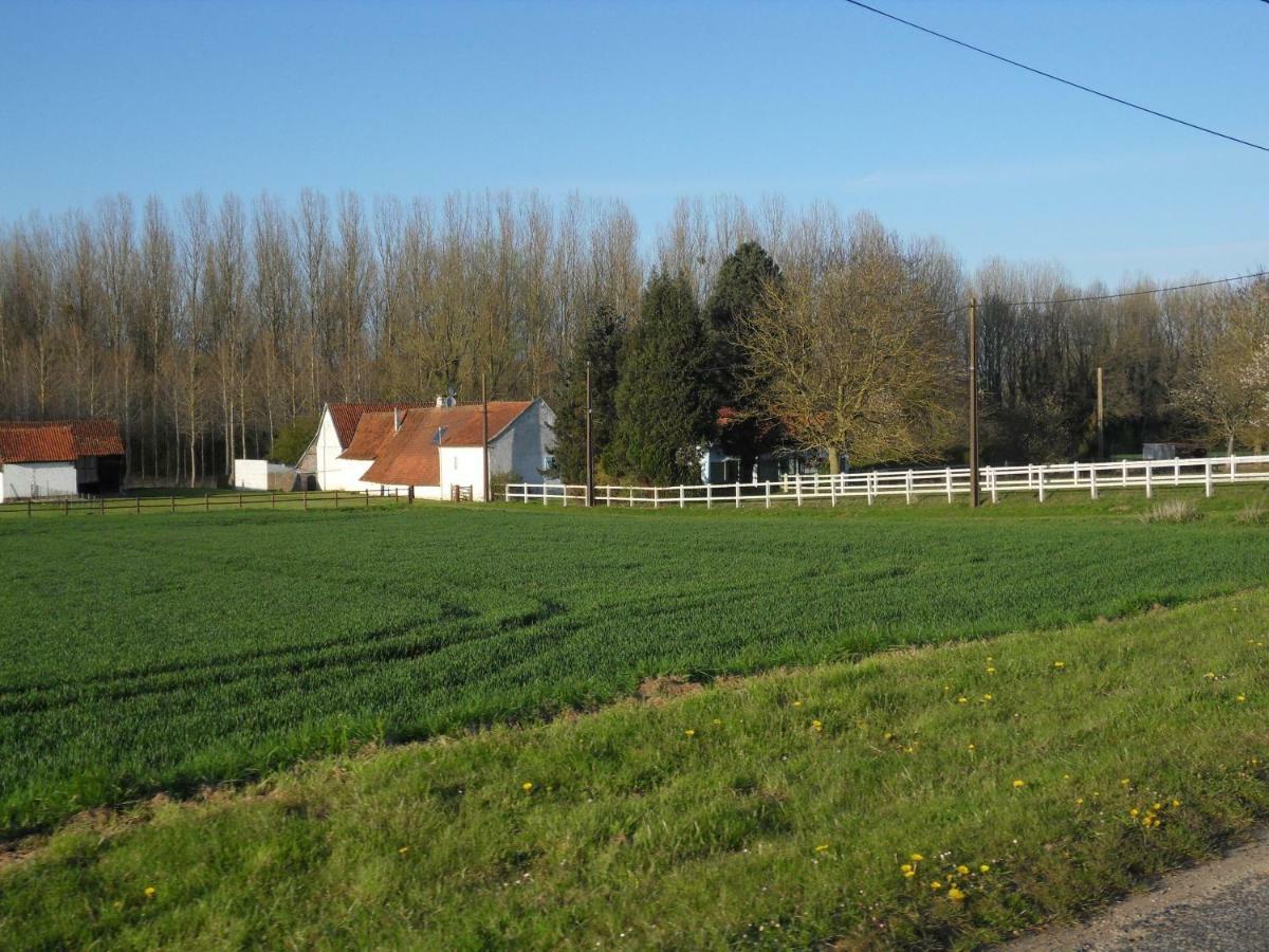 Les Roulottes Des Songes De L'Authie Bed & Breakfast Boufflers Bagian luar foto
